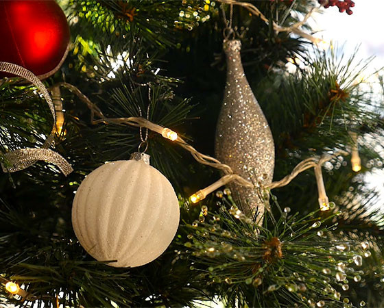 Новогоднее поздравление 2020!